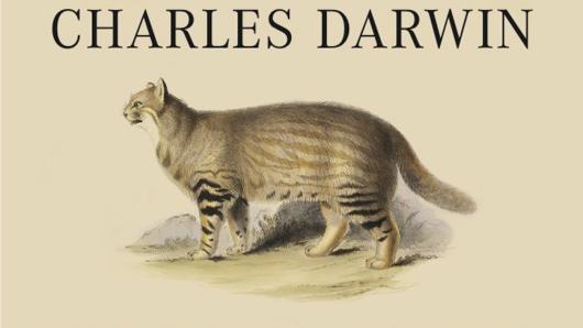 Darwin's On the Origin of Species