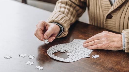 harvard university strategic plan 2020 Dementia