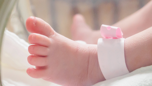 Newborn feet in hospital incubator
