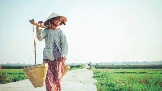 Vietnamese woman carrying basket