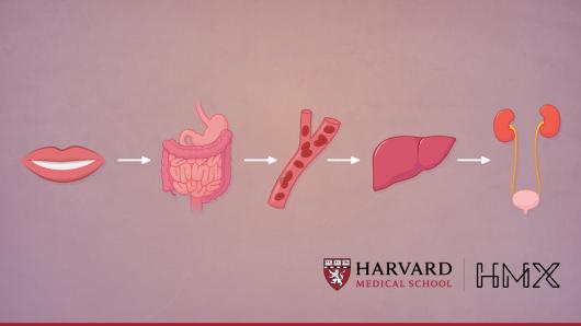 Hmx Pharmacology Harvard University