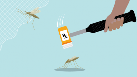 Malariax Defeating Malaria From The Genes To The Globe Harvard